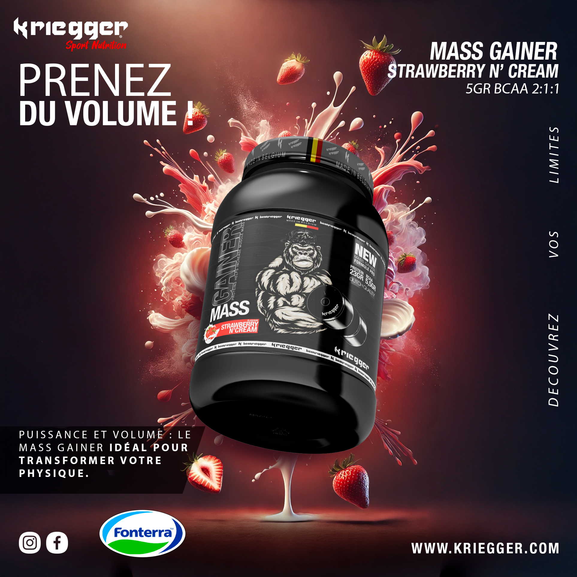 MASS GAINER